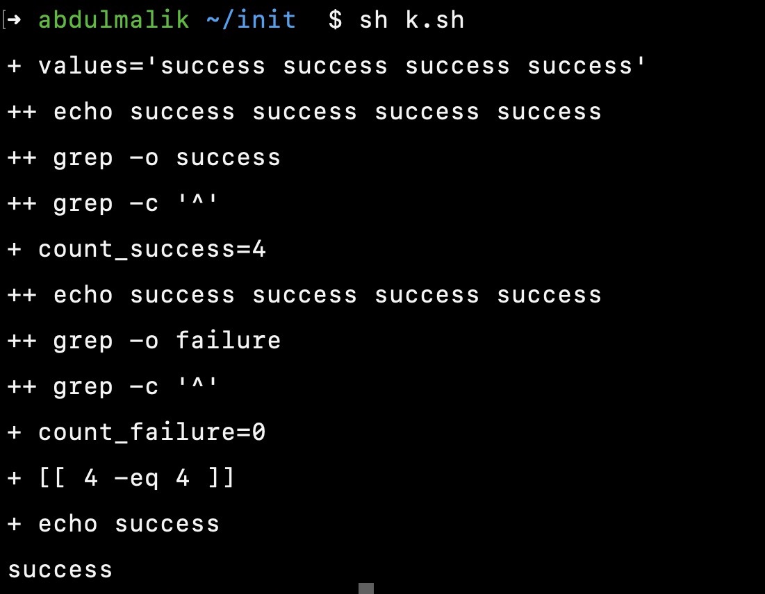 bash options