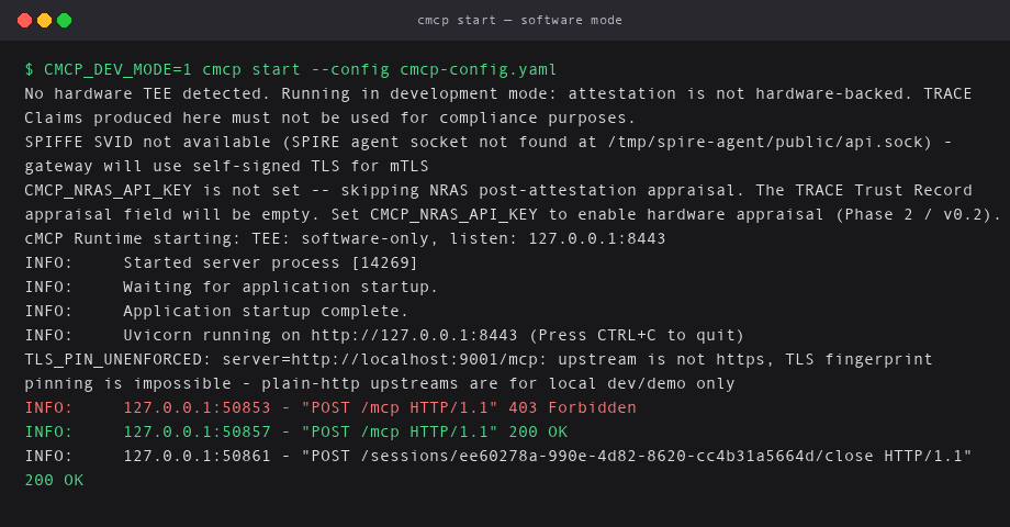 cmcp start in CMCP_DEV_MODE: software-only TEE warnings, listening on 127.0.0.1:8443