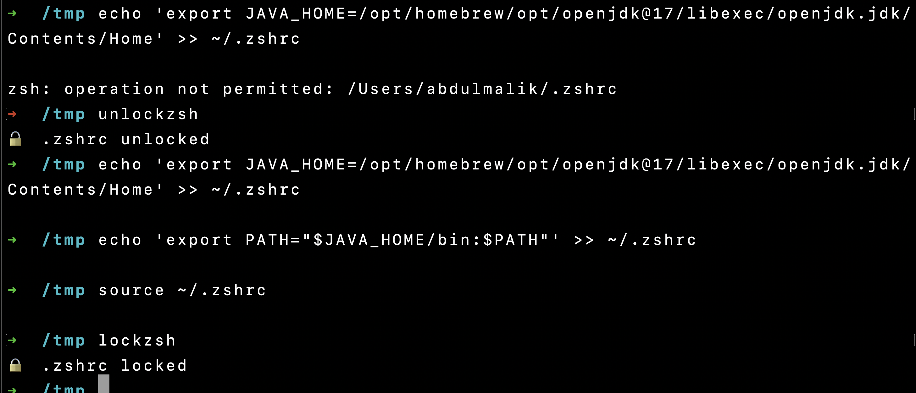 Locking ZSH